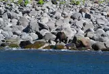 ルシャ湾