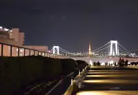 レインボーブリッジの写真・動画_image_206944