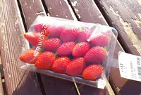 JAさがみ わいわい市寒川店の写真・動画_image_20937