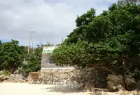 浜辺の茶屋の写真・動画_image_72012