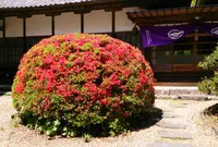 霊山院の写真・動画_image_74534