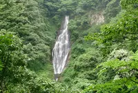 鱒返しの滝の写真・動画_image_137926