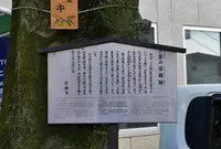 夢の浮橋跡の写真・動画_image_164471