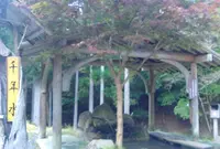 名水　千年水の写真・動画_image_196876