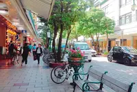 青葉シンボルロード・青葉緑地の写真・動画_image_324240