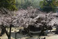 正観寺の写真・動画_image_172614