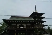 野添北公園 円満寺の写真・動画_image_187497