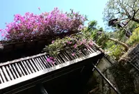 農芸茶屋 四季の彩の写真・動画_image_71745