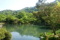 天龍寺の写真・動画_image_76461