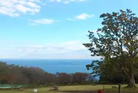 吾妻山公園の写真・動画_image_147910