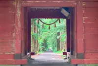 戸隠神社奥社の写真・動画_image_1182631