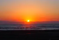 越前浜海水浴場の写真・動画_image_146961