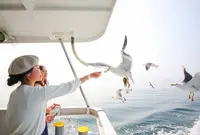 笹川流れ遊覧船の写真・動画_image_452427