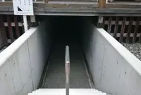 新潟総鎮守 白山神社の写真・動画_image_41082