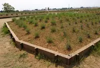 菖蒲城趾あやめ園の写真・動画_image_309919