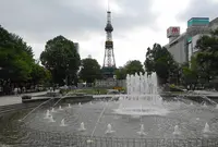 大通公園の写真・動画_image_630800