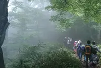 船上山屏風岩の写真・動画_image_34198