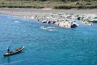 大野島潜水橋（沈下橋）の写真・動画_image_53844