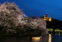 三溪園の写真・動画_image_311638