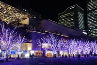 MARK IS みなとみらいの写真・動画_image_469692