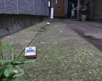 アオゾラカグシキ會社の写真・動画_image_27868