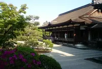 仁和寺の写真・動画_image_76583