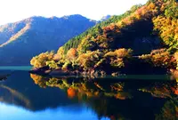 みどり湖の写真・動画_image_421955