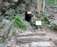 恵利原の水穴の写真・動画_image_81950