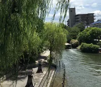 伏見十石舟の写真・動画_image_190173