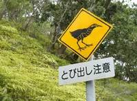 カフェ山甌の写真・動画_image_74169