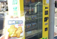 寒川駅 JR相模線の写真・動画_image_20943