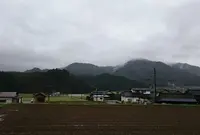 らいらっくの写真・動画_image_32985