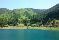 白井大町藤公園の写真・動画_image_32986