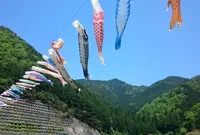 白井大町藤公園の写真・動画_image_32987