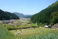 白井大町藤公園の写真・動画_image_32988
