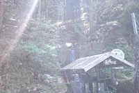 カントリーハットの写真・動画_image_33537