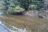 佐中の千年家の写真・動画_image_33539
