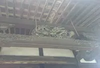蓮照寺の写真・動画_image_44023