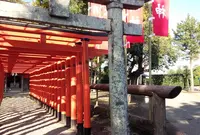 水前寺成趣園の写真・動画_image_54550