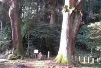 満願寺の写真・動画_image_58774