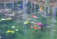 根道神社の写真・動画_image_63371