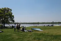 彩湖・道満グリーンパークの写真・動画_image_63811