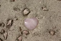 菊池公園の写真・動画_image_71798