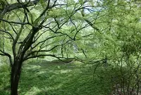 菊池神社の写真・動画_image_71815
