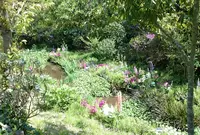ベネッセハウス ミュージアムの写真・動画_image_73197