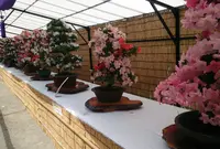 神代植物公園の写真・動画_image_78975