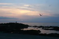 黄金岬海浜公園の写真・動画_image_79531