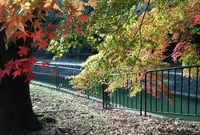 東山自然緑地の写真・動画_image_124108