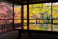 瑠璃光院の写真・動画_image_1265588