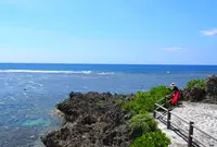 イムギャーマリンガーデンの写真・動画_image_1265839